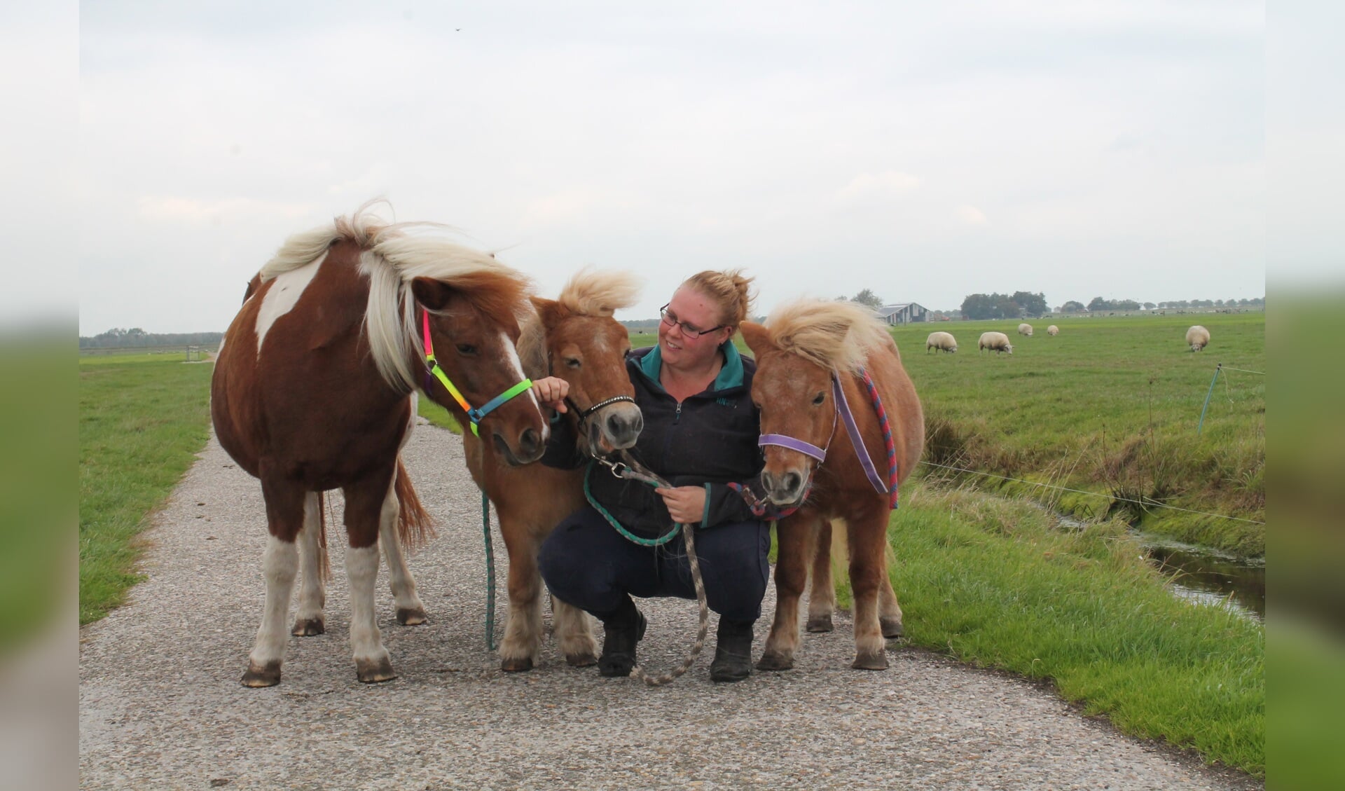 Desirée met haar verzorgpaarden Daisy,Mistral en Linda. (Foto: Shelley Zuizewind/RM) 