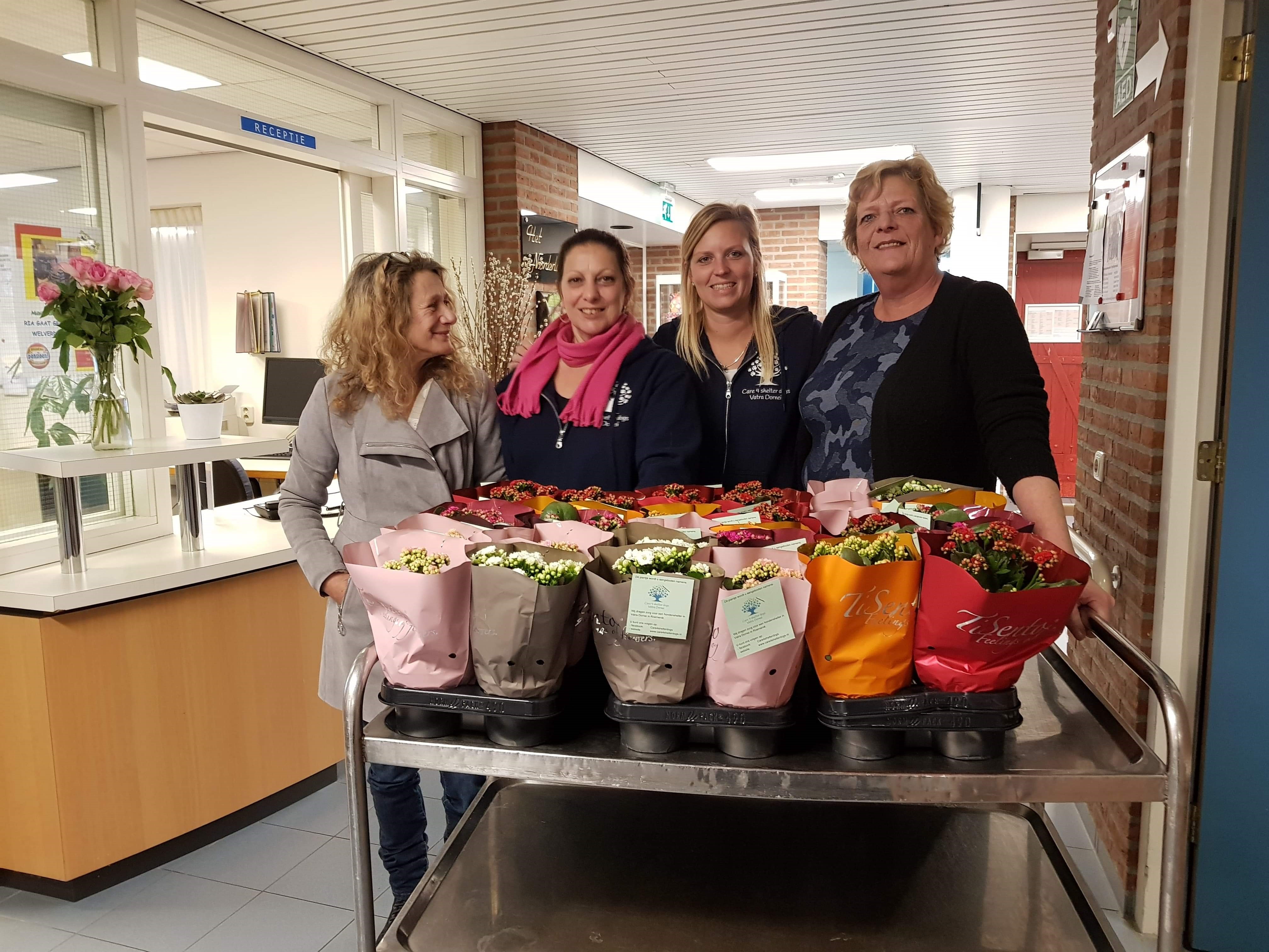 Vrijwilligers van Care 4 Shelter Dogs deelden vorige week de gedoneerde plantjes uit aan bewoners van verzorgingshuizen in de regio. (Foto: aangeleverd)