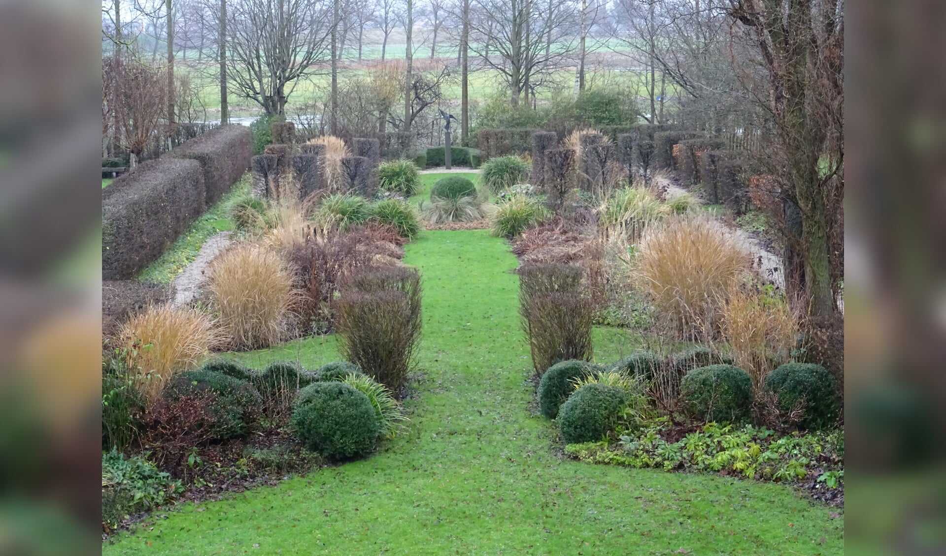 'Hagen, bomen en grassen maken in winter de tuinstructuur helder'. (Foto: aangeleverd)