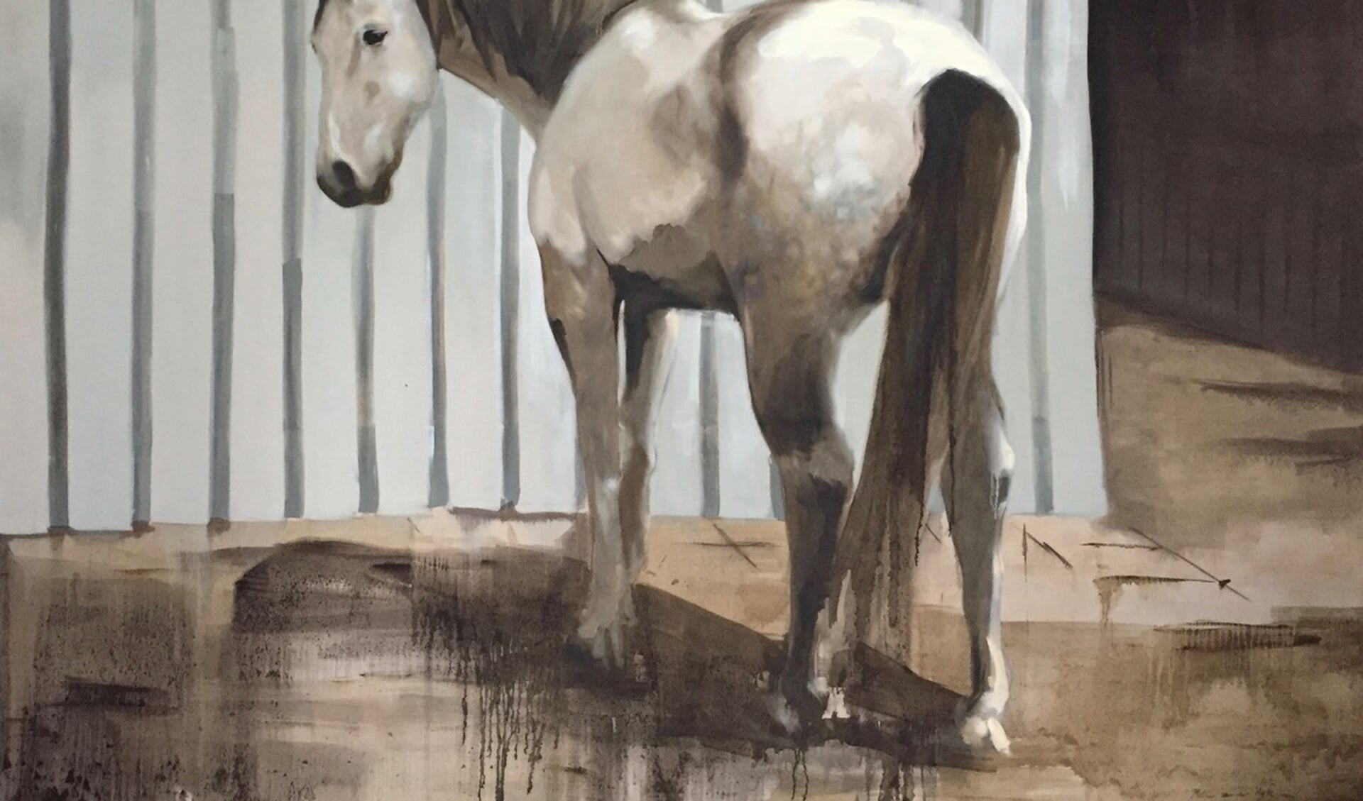 'Wit paard' van Philine van der Vegte. (Afbeelding aangeleverd)