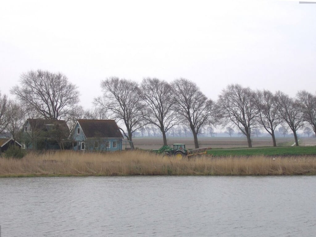 Waar kunnen in Hollands Kroon meer bomen worden geplant? 