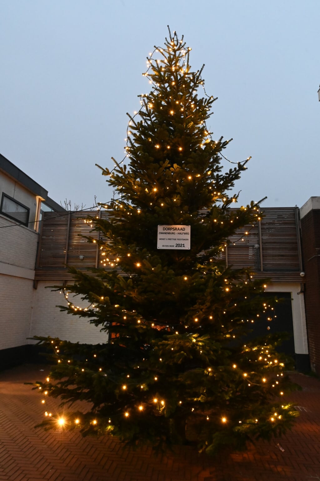 De kerstboom in de Dennenlaan, een jaarlijkse traditie.