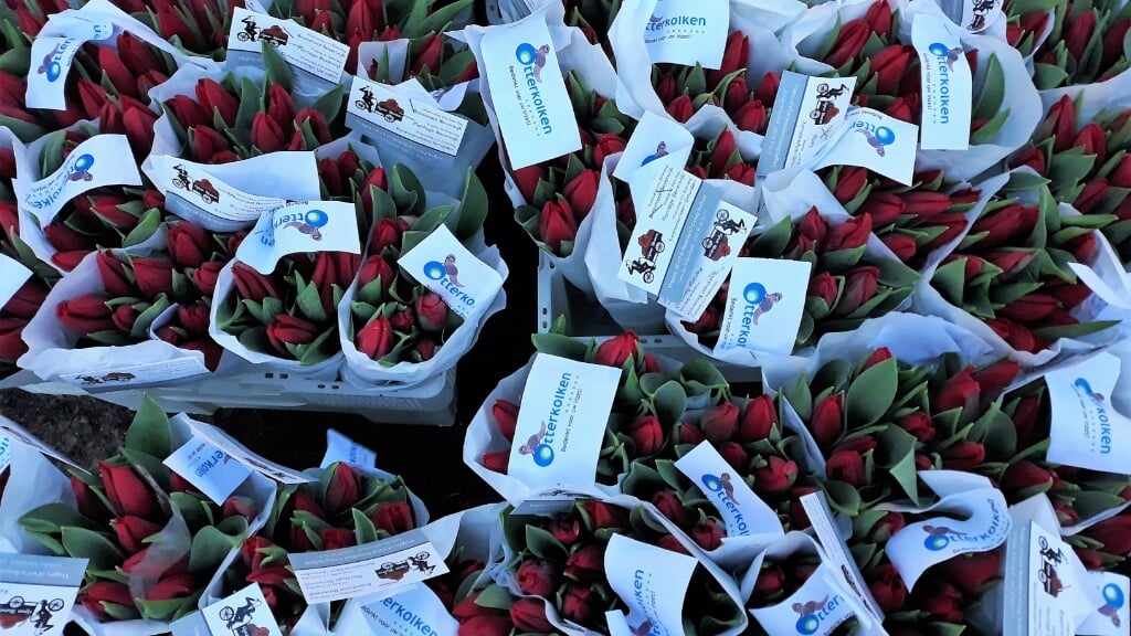 Basisschool Otterkolken bedankt ouders met tulpen