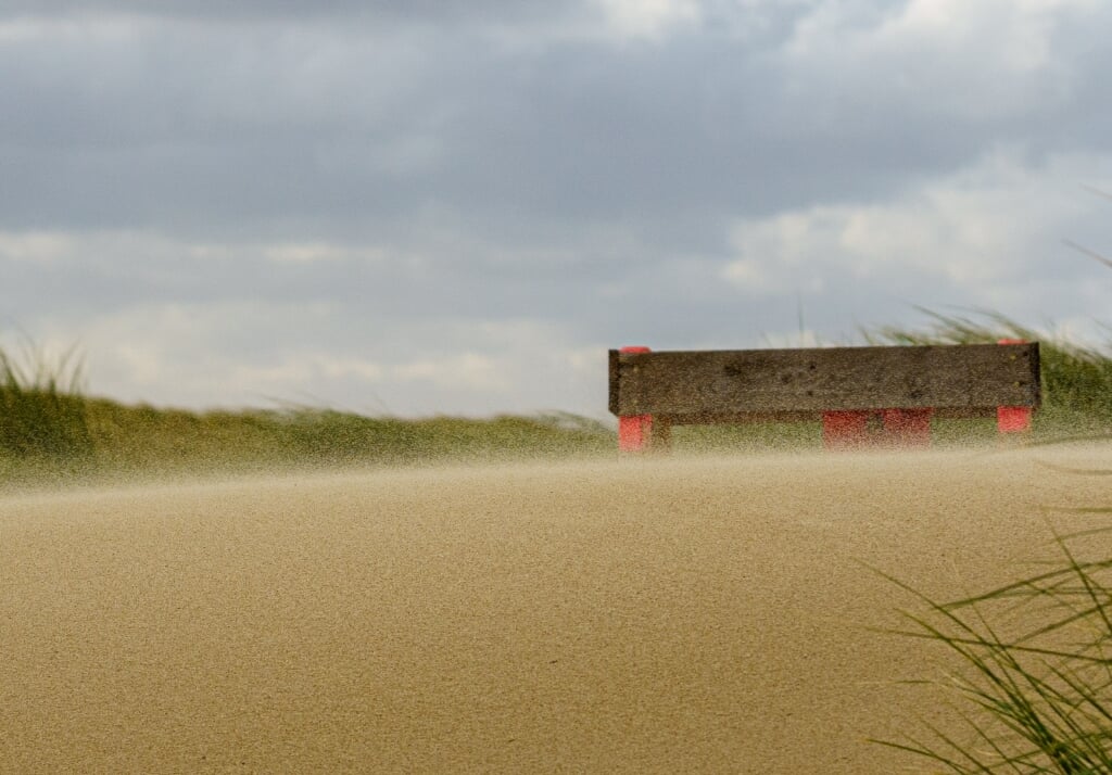 Het opstuivende zand in de duinen van Petten, van Yvonne Kramer.