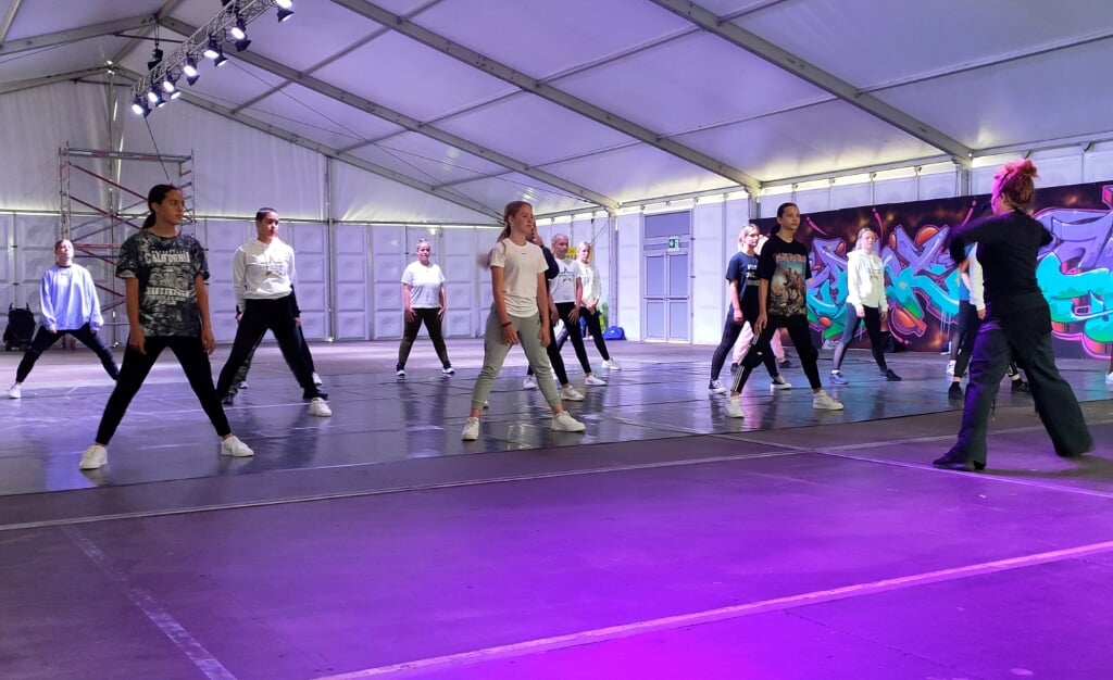 In het Try Out Park werd afgelopen zomer een dansworkshop gegeven door Esther Nederpelt. 
