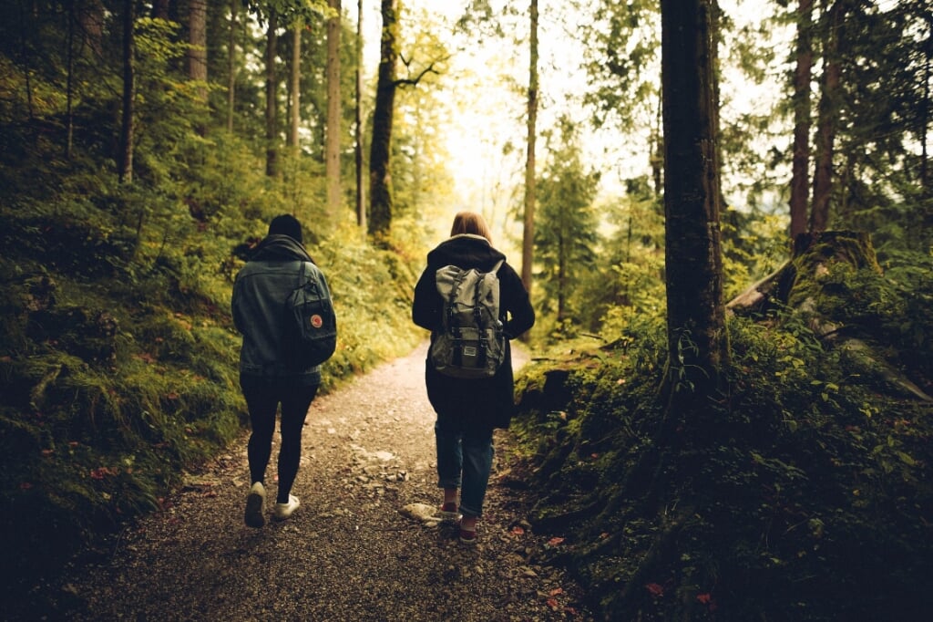 Tom ging met IkSTART wandelen door de bossen in Bergen en Heiloo.