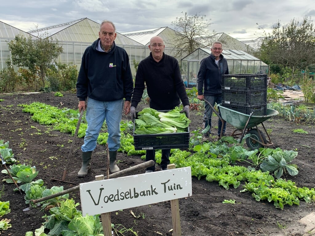 Leden van moestuinvereniging De Esselyckerhof in Woubrugge hebben een grote partij verse groenten geteeld voor de Voedselbank KBEN.