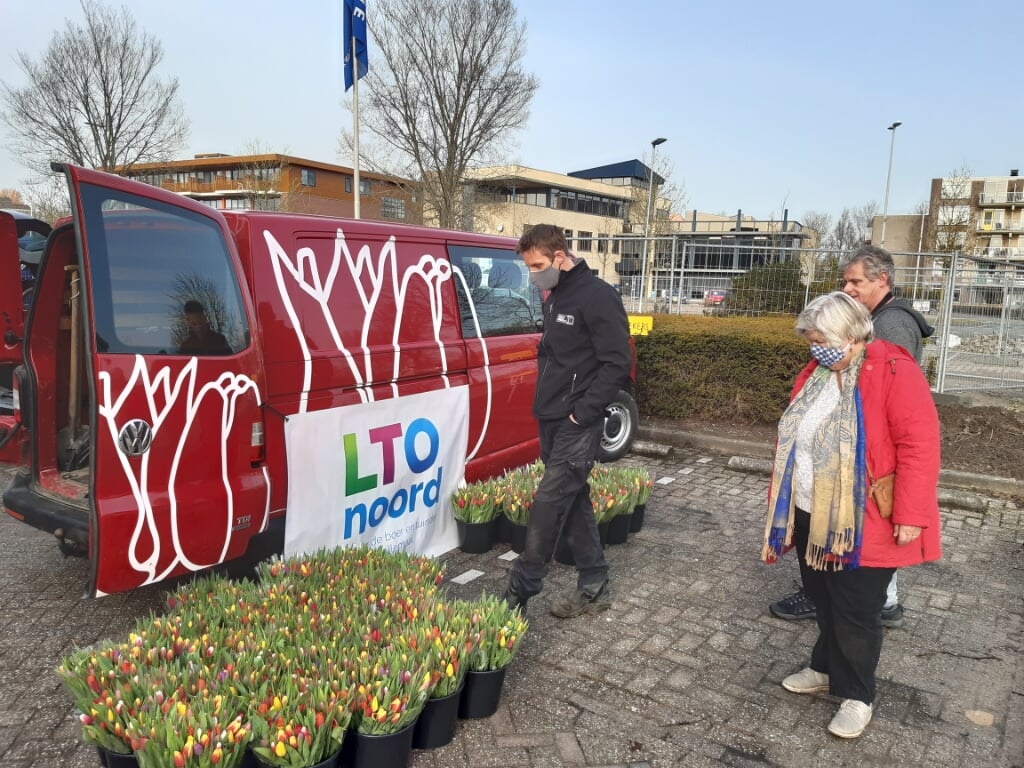 LTO-noord en KAVB delen 10.000 tulpen uit. 