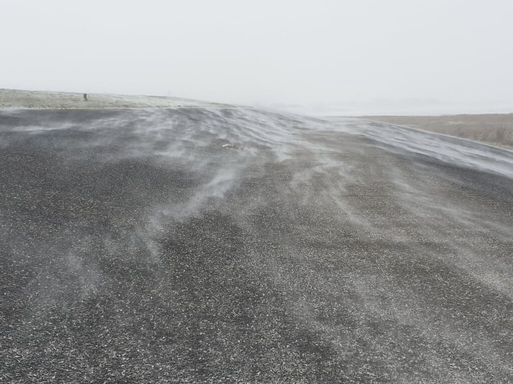 Stuifsneeuwstorm achter de bij het wad in Den Oever. 
