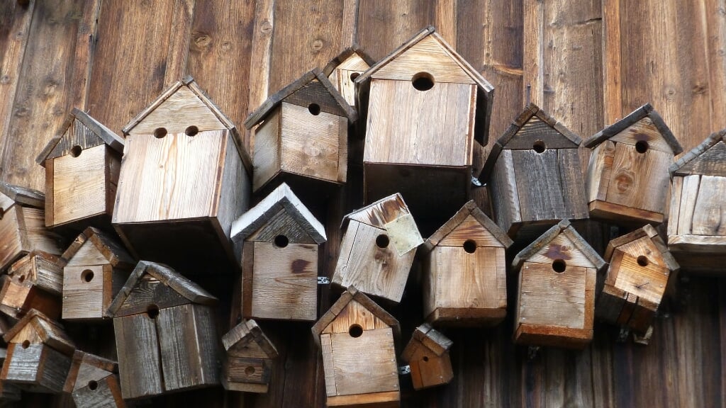  Vogelhuisjes dragen bij aan de biodiversiteit in de stad. 