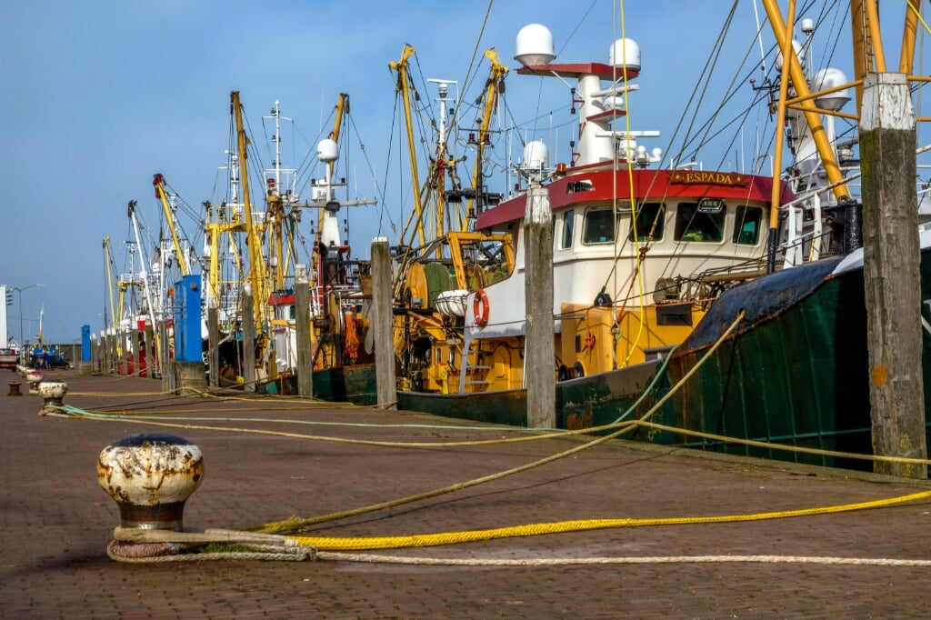 De vissersvloot in Den Oever heeft te maken met hoge kosten door de boomkorsvisserij en hogere brandstofprijzen. 