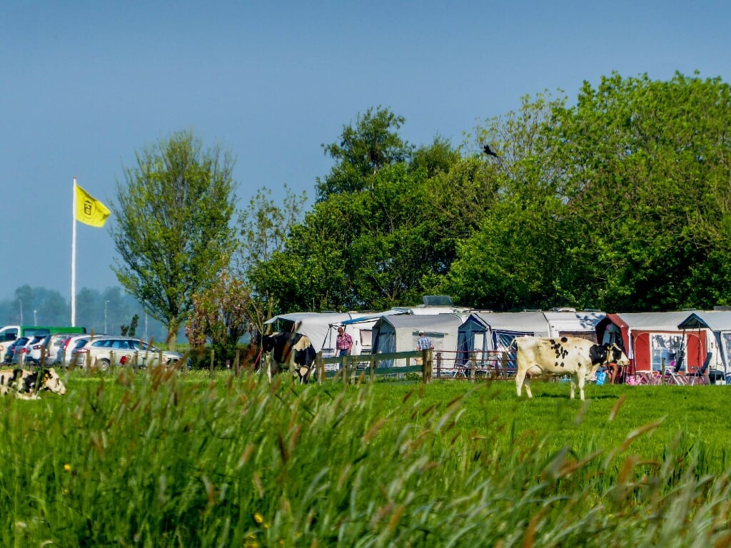 Landelijk kamperen steeds populairder zoals hier bij Camping de Kei in Castricum.