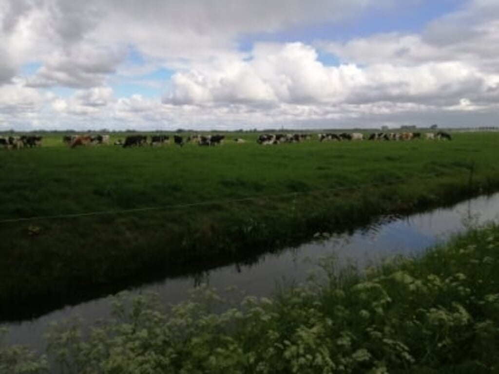 LTO pleit voor meer ruimte voor boeren en tuinders, ook in Noord-Holland.