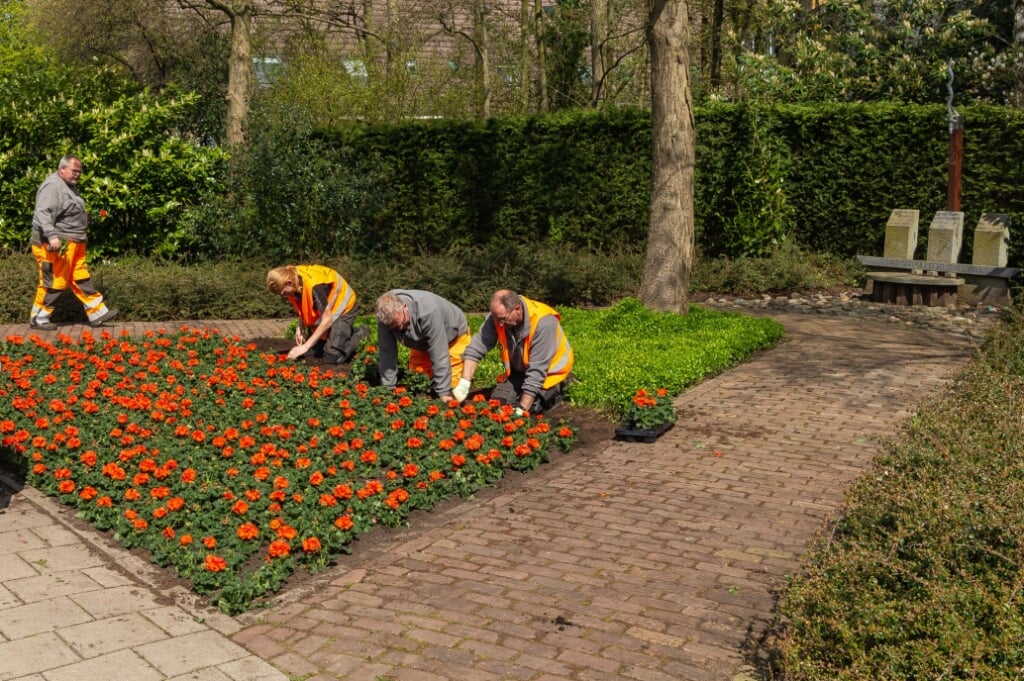 Met de nieuw aangebrachte beplanting is het monument aan de Jaagweg in Purmerend klaargemaakt voor de aangepaste herdenking van 4 mei.   