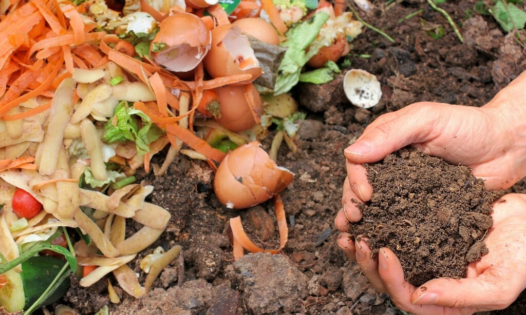 Compost is een vitaminebommetje voor de planten.