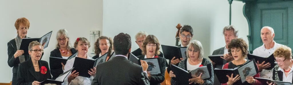 Het koor Voci d'Angeli tijdens een concert in Schellinkhout. 