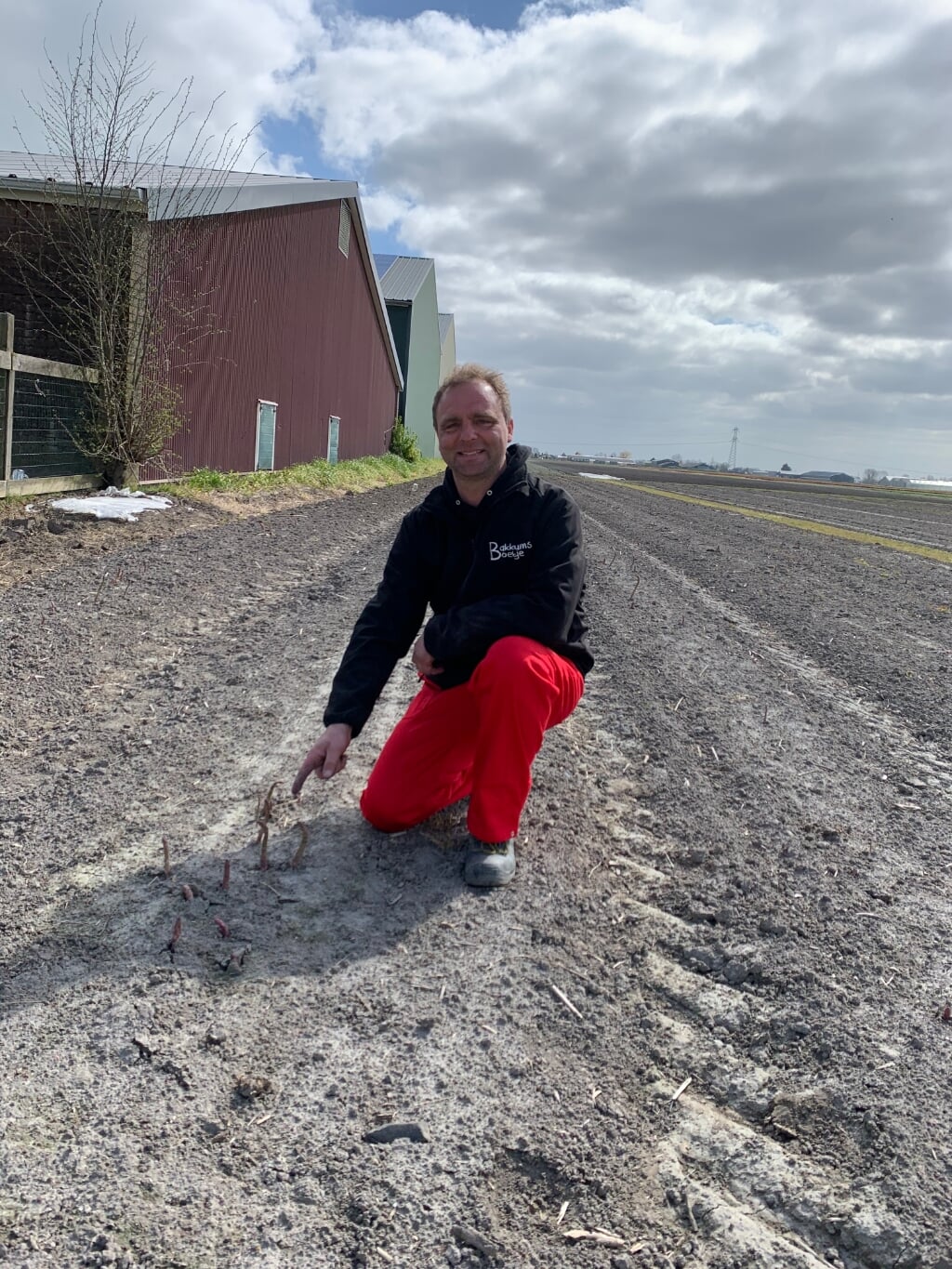 Teler Niels haalt de eerste asperges uit de grond.