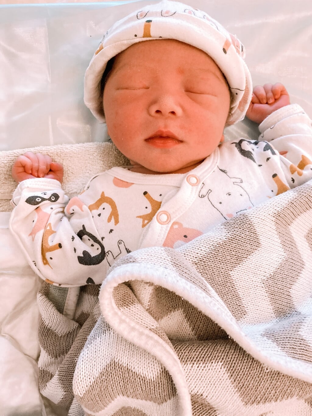 Avery Chloe Cin-Yu Tse, geboren 5 juni 2021.