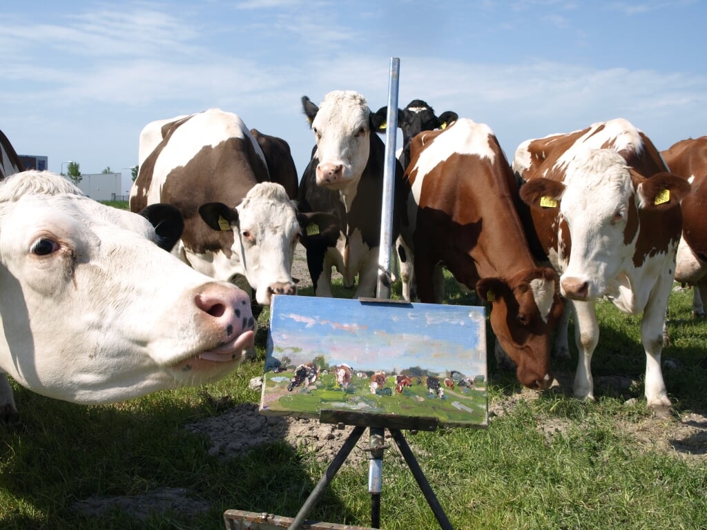 Schilderen tussen de koeien in Schellinkhout.