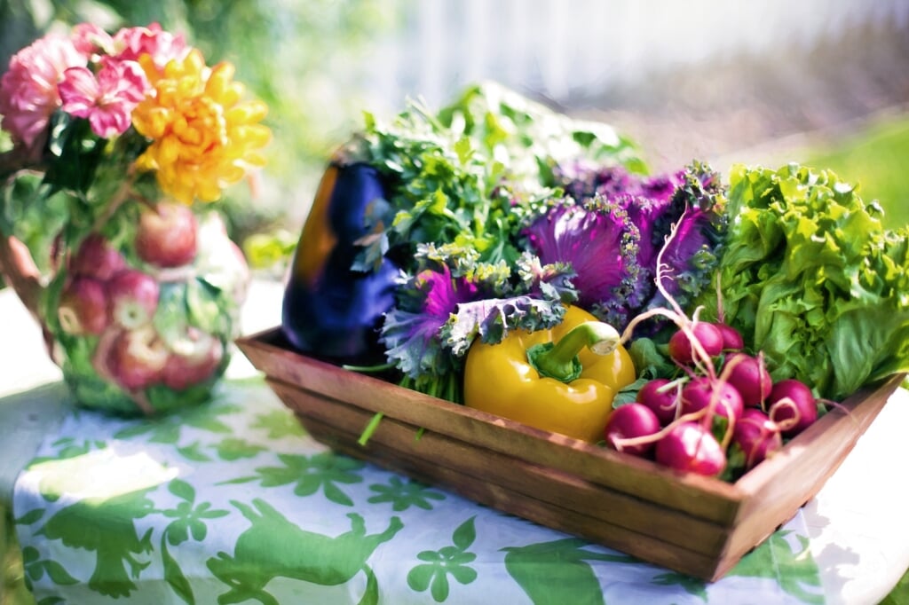 ‘Onbewerkte groente vormt schoonmaakploeg in je lichaam’ aldus Wim Reijling.