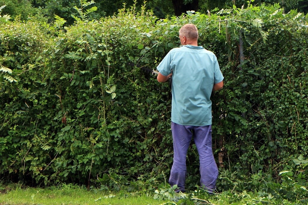 Wie helpt ouderen om hun tuin op orde te houden?