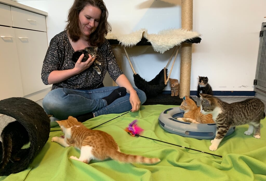 Medewerker van het dierenasiel Saskia Lubbers, met een aantal kittens die gevonden zijn.