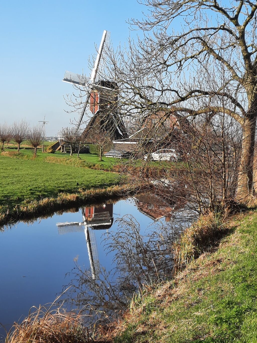 De verplaatste molen op de Ruigekade in Koudekerkaan de Rijn.