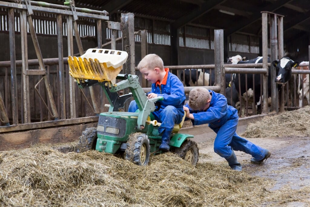 Kinderen kunnen lekker ravotten bij de agrarische kinderopvang.