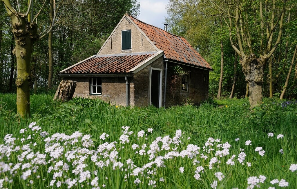 in de lintdorpen van Midden-Delfland zijn boerderijen uit de 17e eeuw bewaard gebleven. 