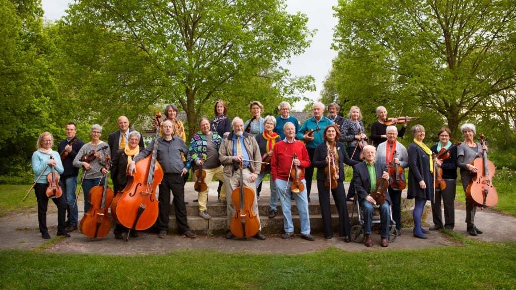 Het Tollens Ensemble bestaat inmiddels 48 jaar, is in Rijswijk opgericht en bestaat uit zo'n 24 gevorderde amateurmusici. 