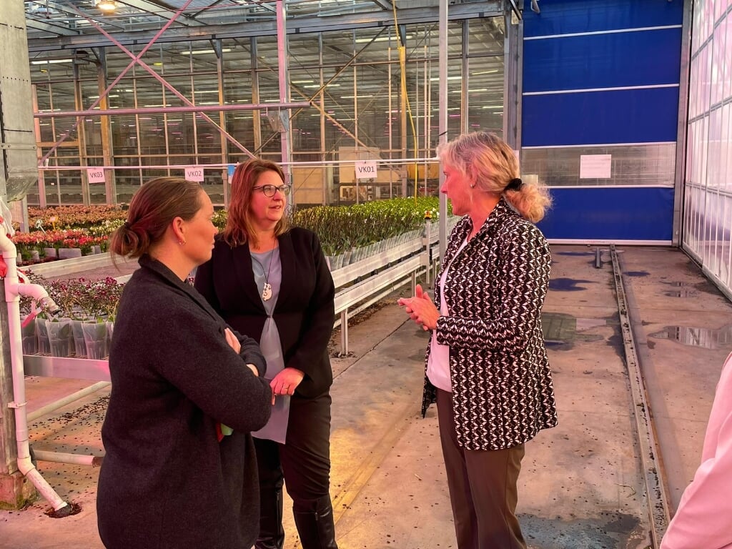 Nieuw-Zeelands ambassadeur Susannah Gordon en speciaal landbouwhandelsgezant Mel Poulton in gesprek met Adri Bom-Lemstra tijdens het bezoek aan OK Plant.
