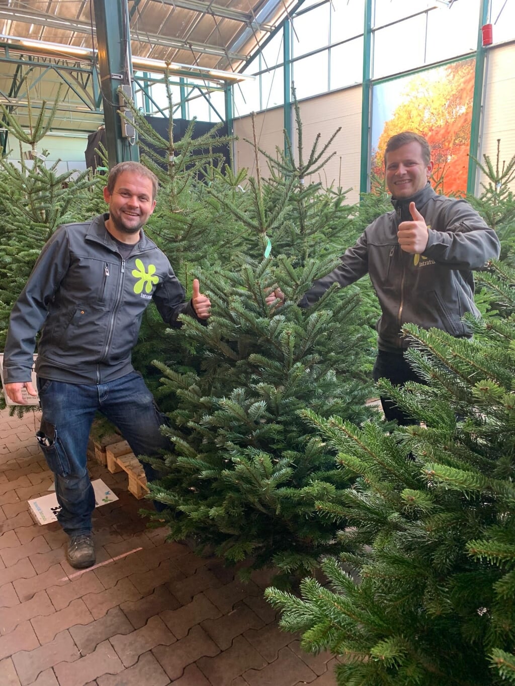 Bij de Intratuin zijn ze klaar voor kerst.