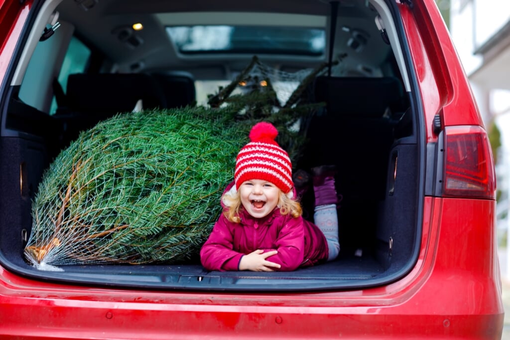 Zó vervoer je de kerstboom goed en veilig.  
