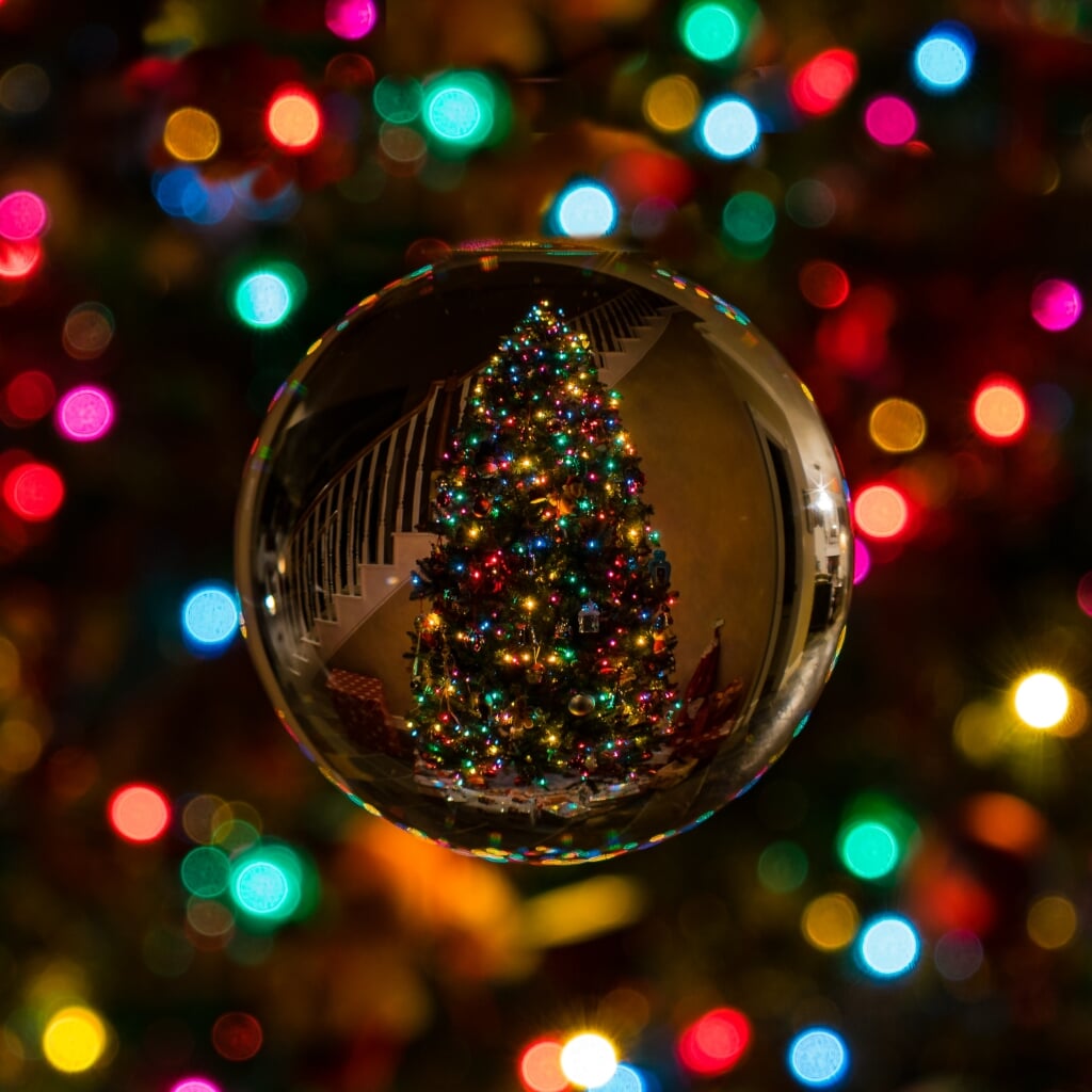 Wie heeft de mooiste kerstboom van Maassluis? 