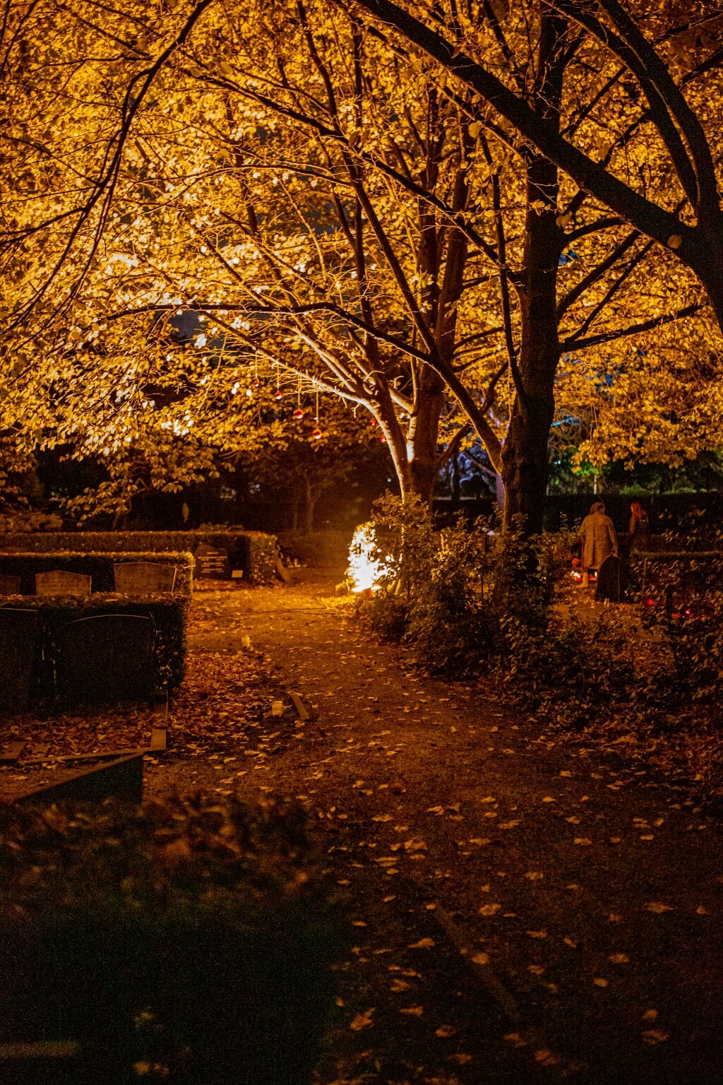 De Lichtjesavond was voor de aanwezigen een troostend samenzijn.