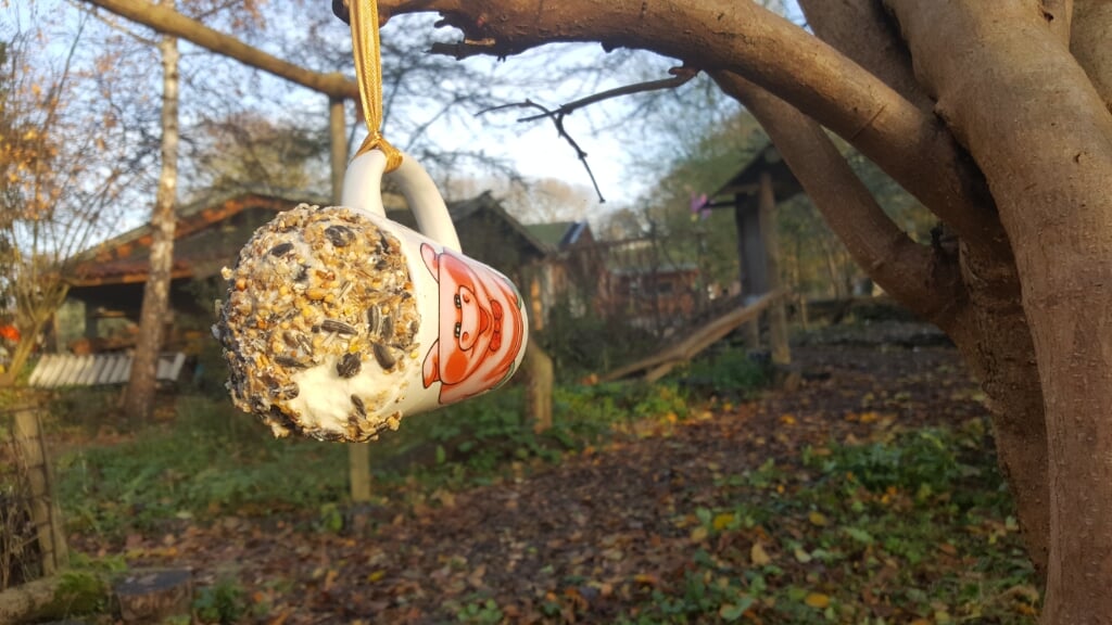 Kinderen gaan vetbollen in een kop maken om buiten in je tuin te hangen. 