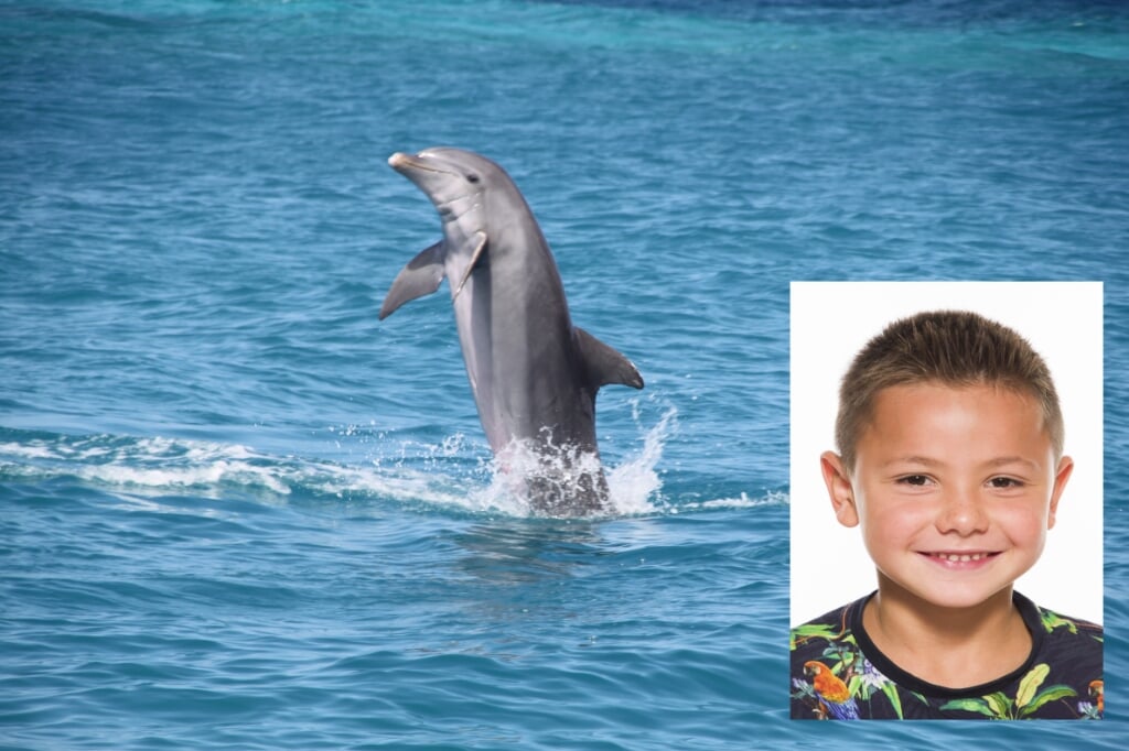 Onderzoek heeft aangetoond dat kinderen met een bijzonderheid door het volgen van dolfijntherapie grote stappen kunnen zetten in hun ontwikkeling.