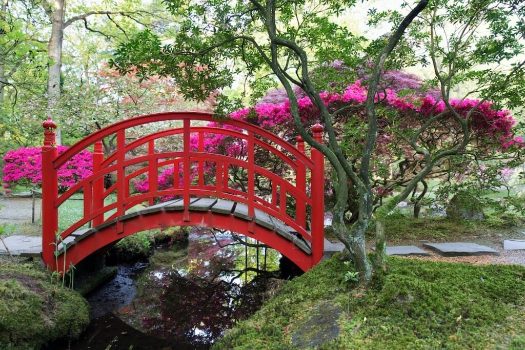 De Japanse Tuin is  in oktober weer open voor publiek. 