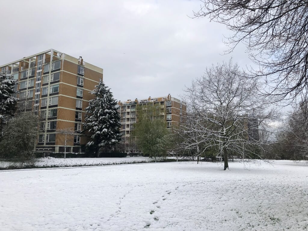 Ook in het Beethovenpark lag vrijdagmorgen sneeuw.