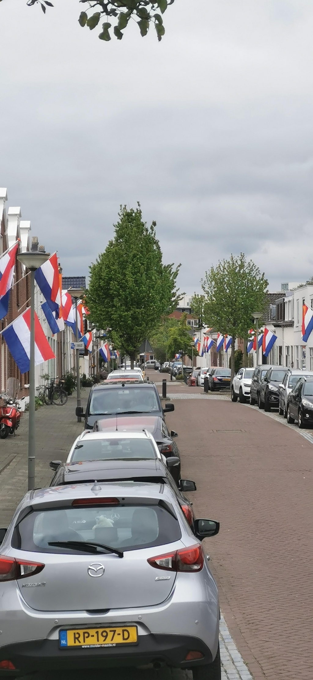 Oostsingel Schiedam vol vlaggen.