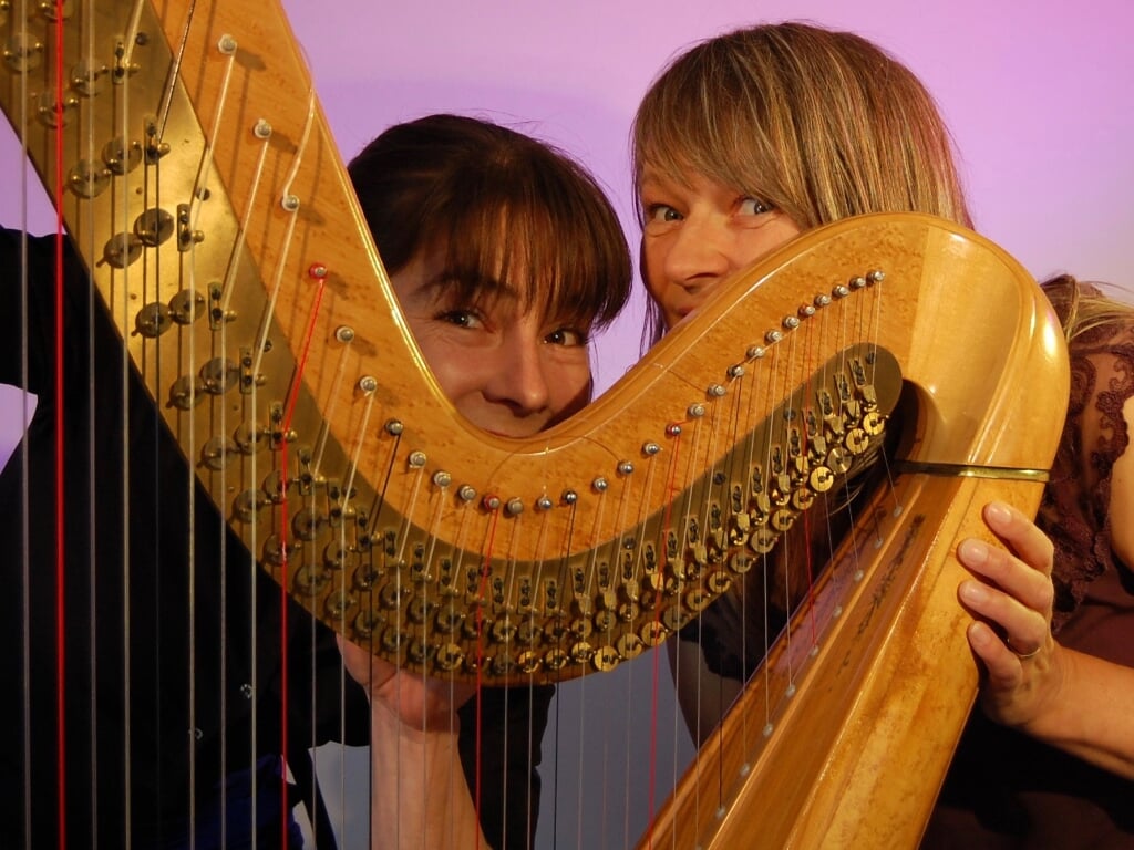 Twee harpistes hebben elkaar gevonden. 
