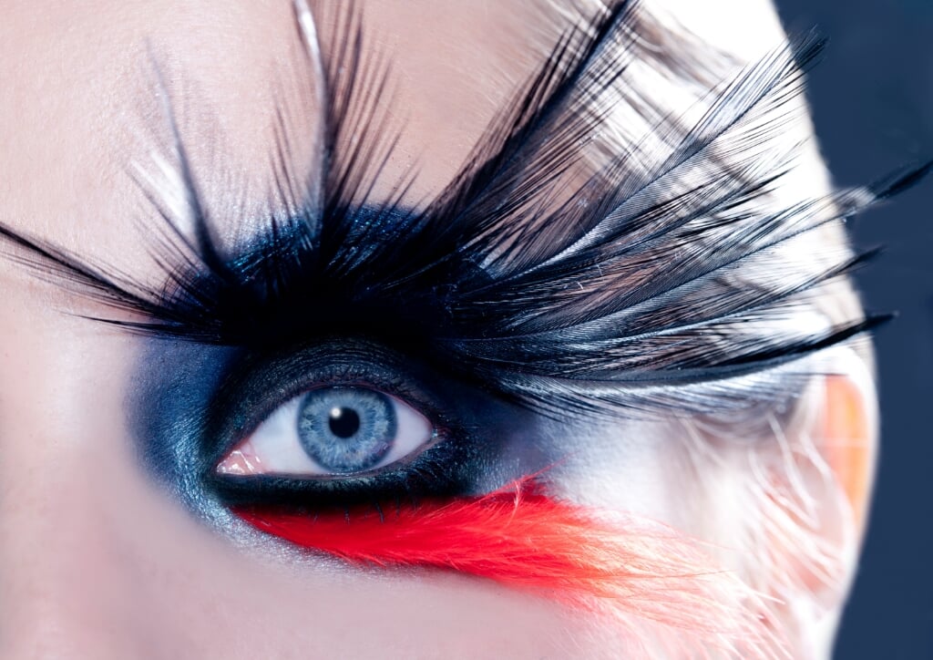blue woman eye with fashion makeup bird inspired with black and red feathers