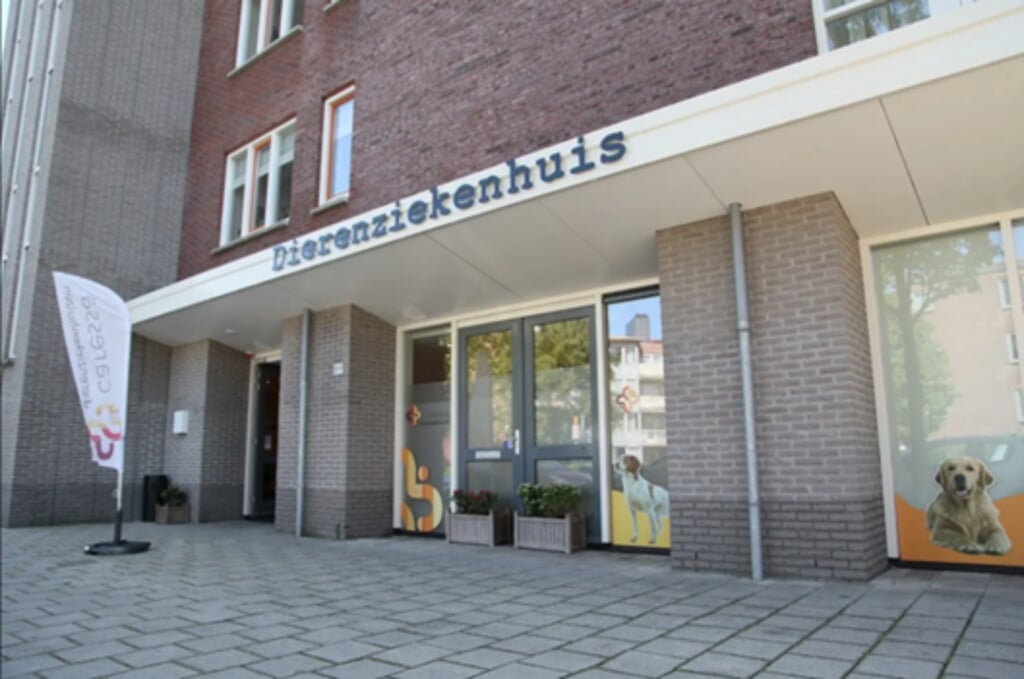 Het caressa Dierenziekenhuis in Haarlem-