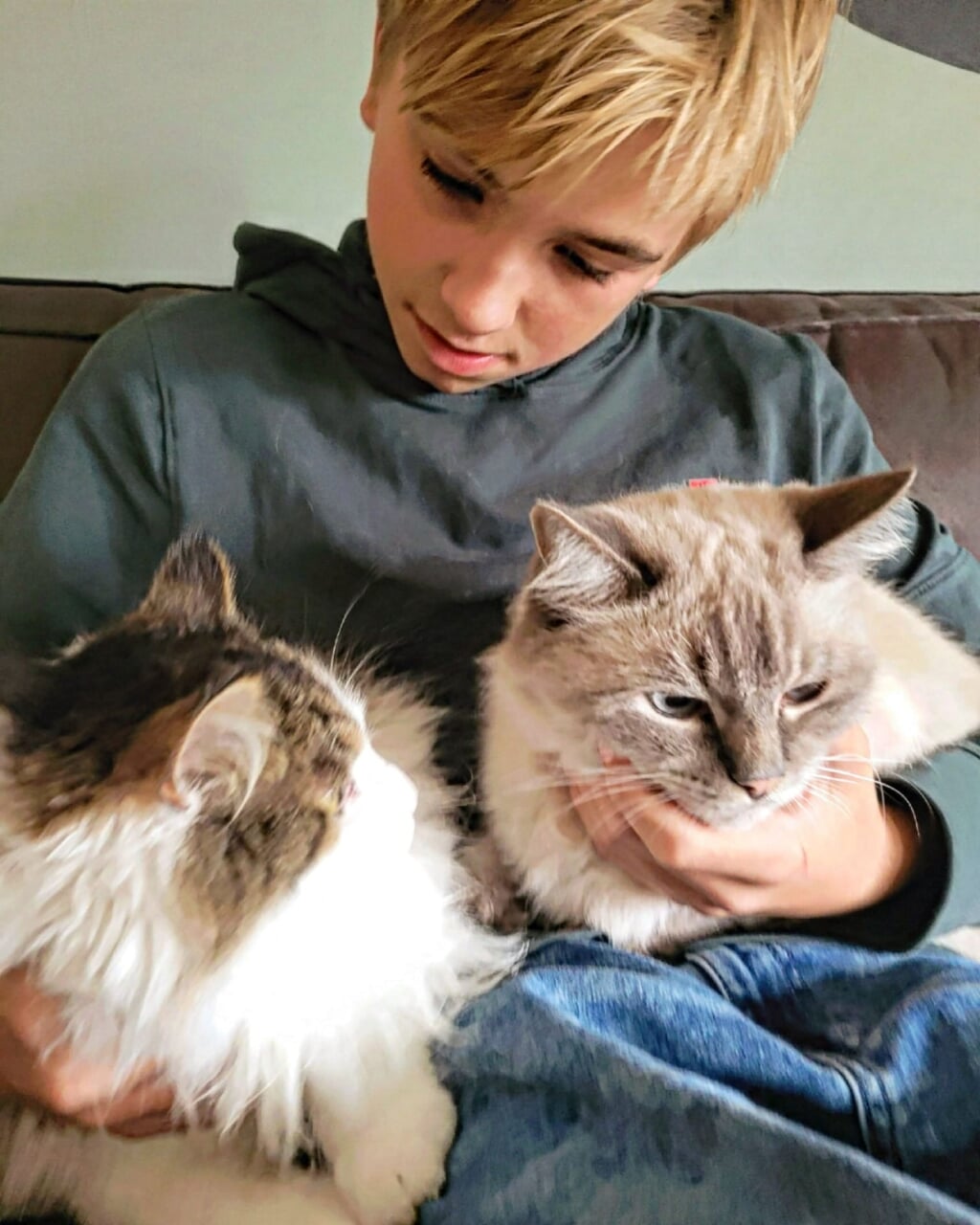 Tijn met zijn katten Alvin en Bowie.