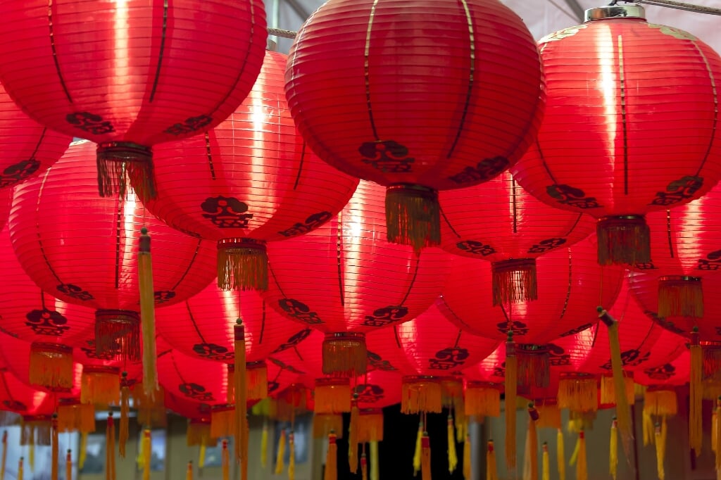 Zaterdag 21 januari is in Den Haag de landelijke viering van het Chinese nieuwjaar. 