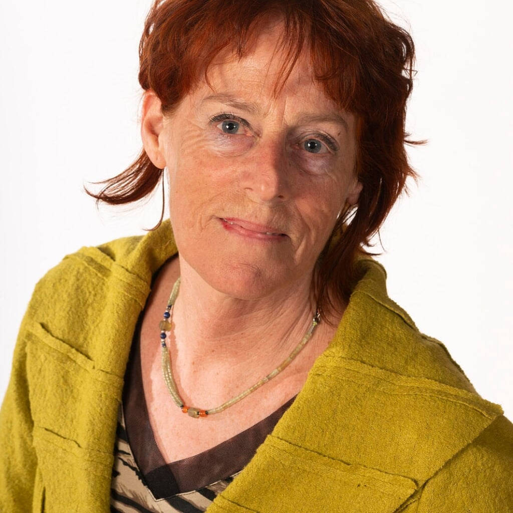 GroenLinksraadslid Tineke Bouchier zal de avond gaan voorzitten.