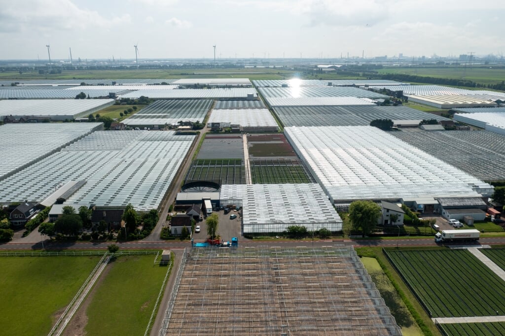 In 2050 biedt Greenport West-Holland de gezondste versproducten.