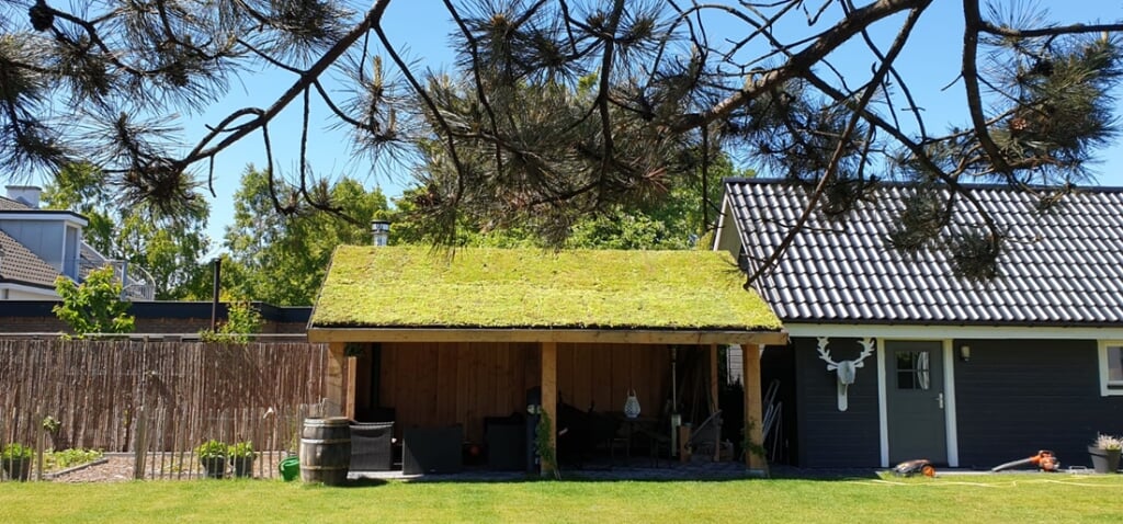 Een groen dak bij de schuur is niet alleen mooi maar ook praktisch.
