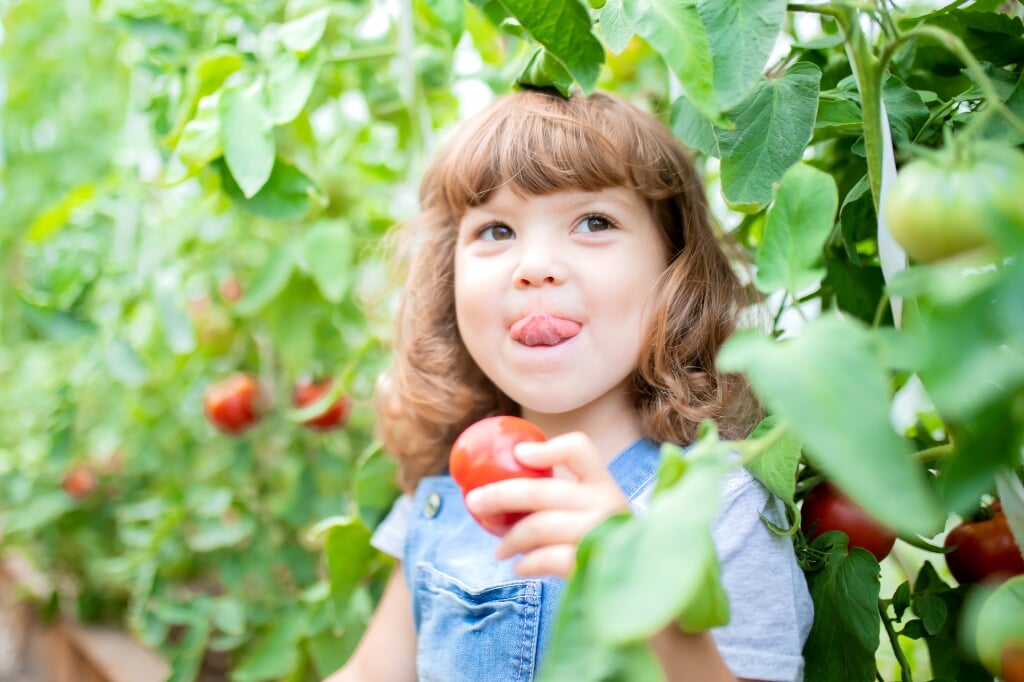 Groenten en fruit bevorderen een gezonde leefstijl.