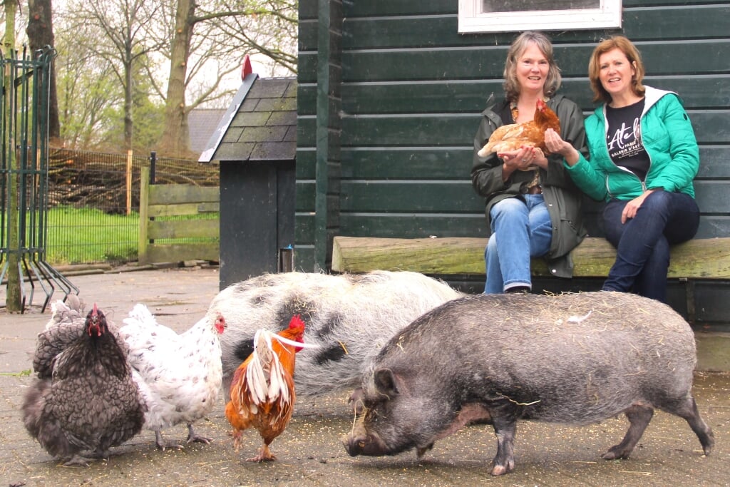 Anne en Caroline op het bankje voor de stal, vergezeld door de kippen en de varkens.